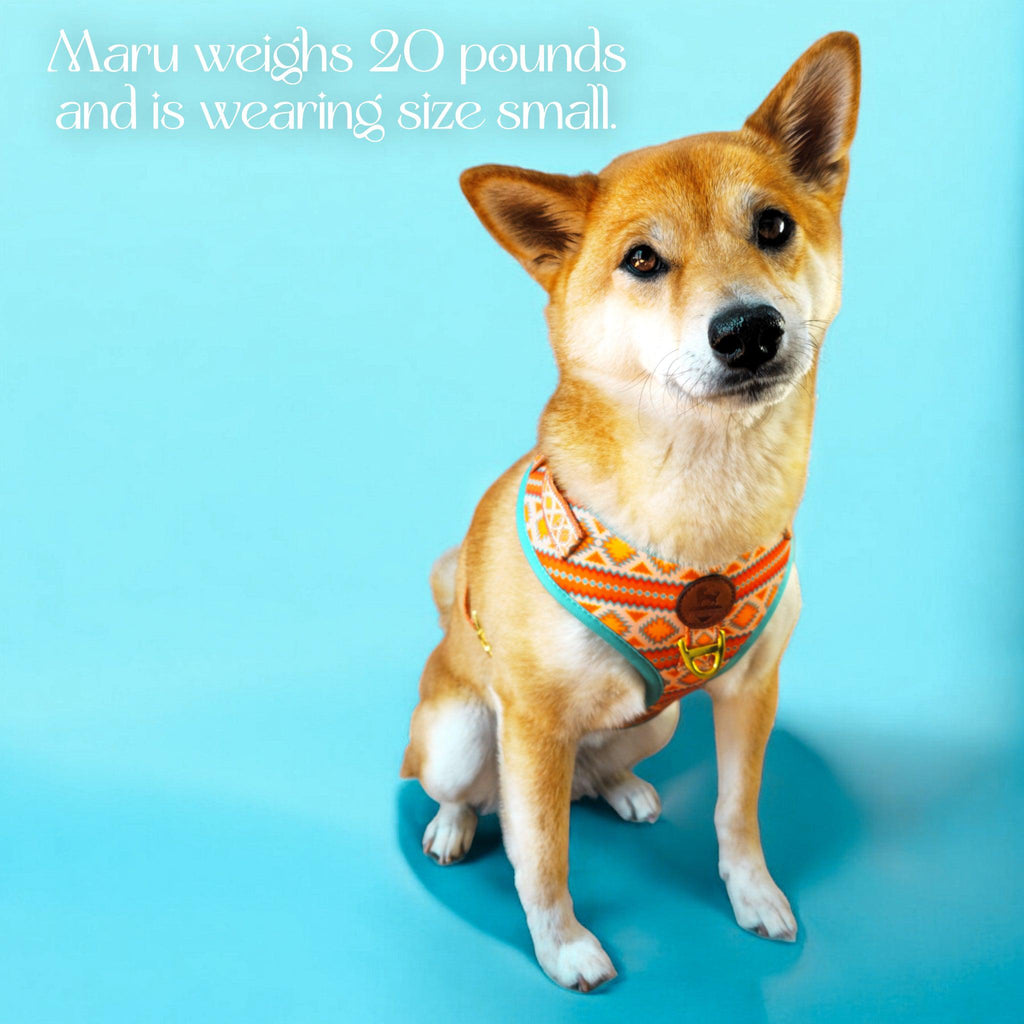 Desert Dream Harness