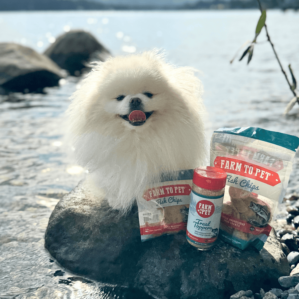 Treat Topper Fish Dog Food Topper | Low-Fat Meal Topper for Pets