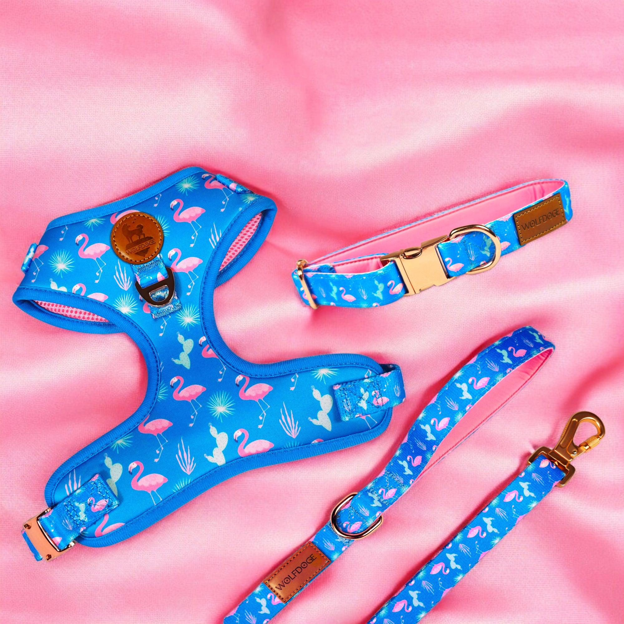 Flamingo Fiesta Leash