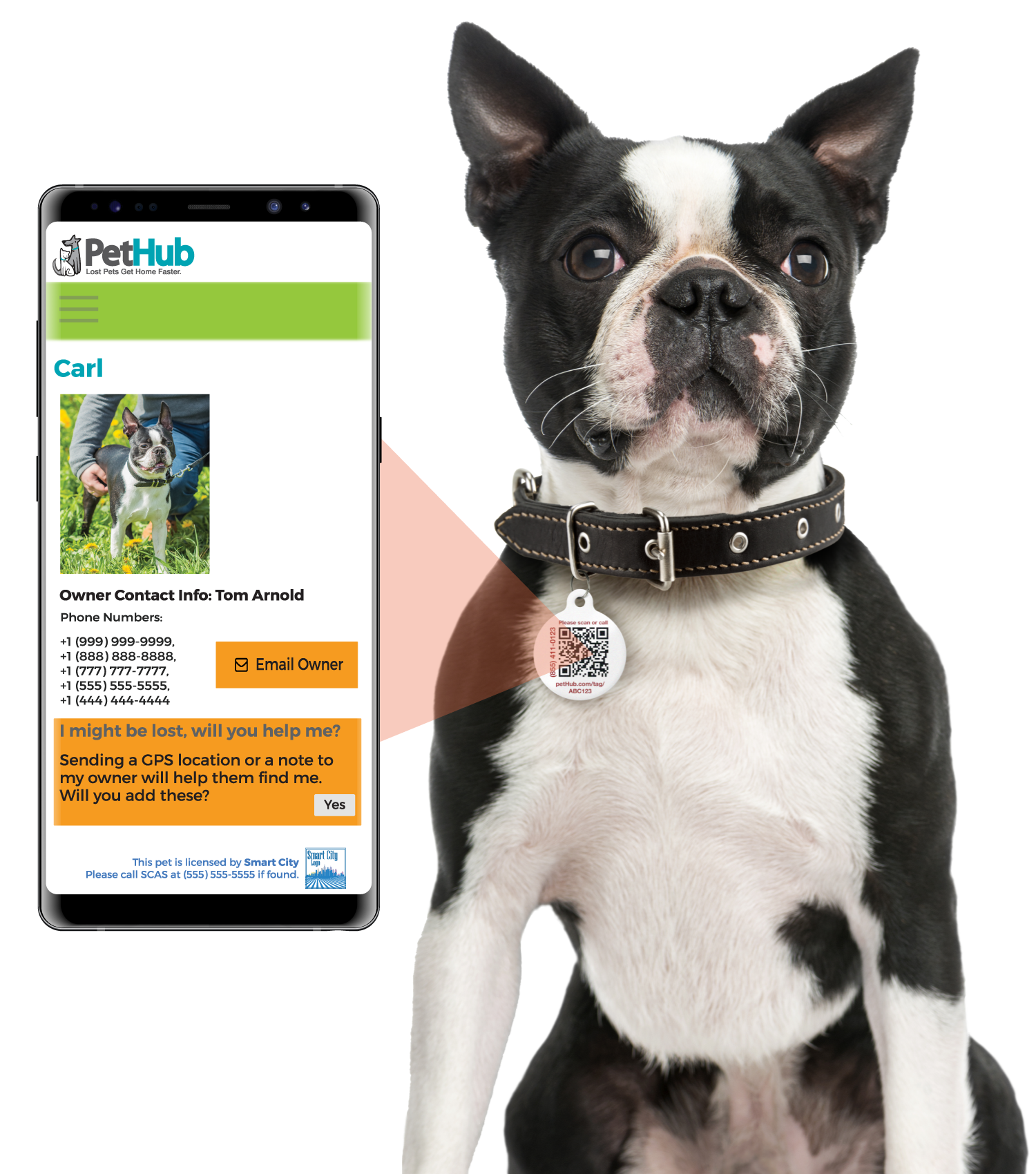 PetHub QR Pet ID Tag – Get Me Home Club