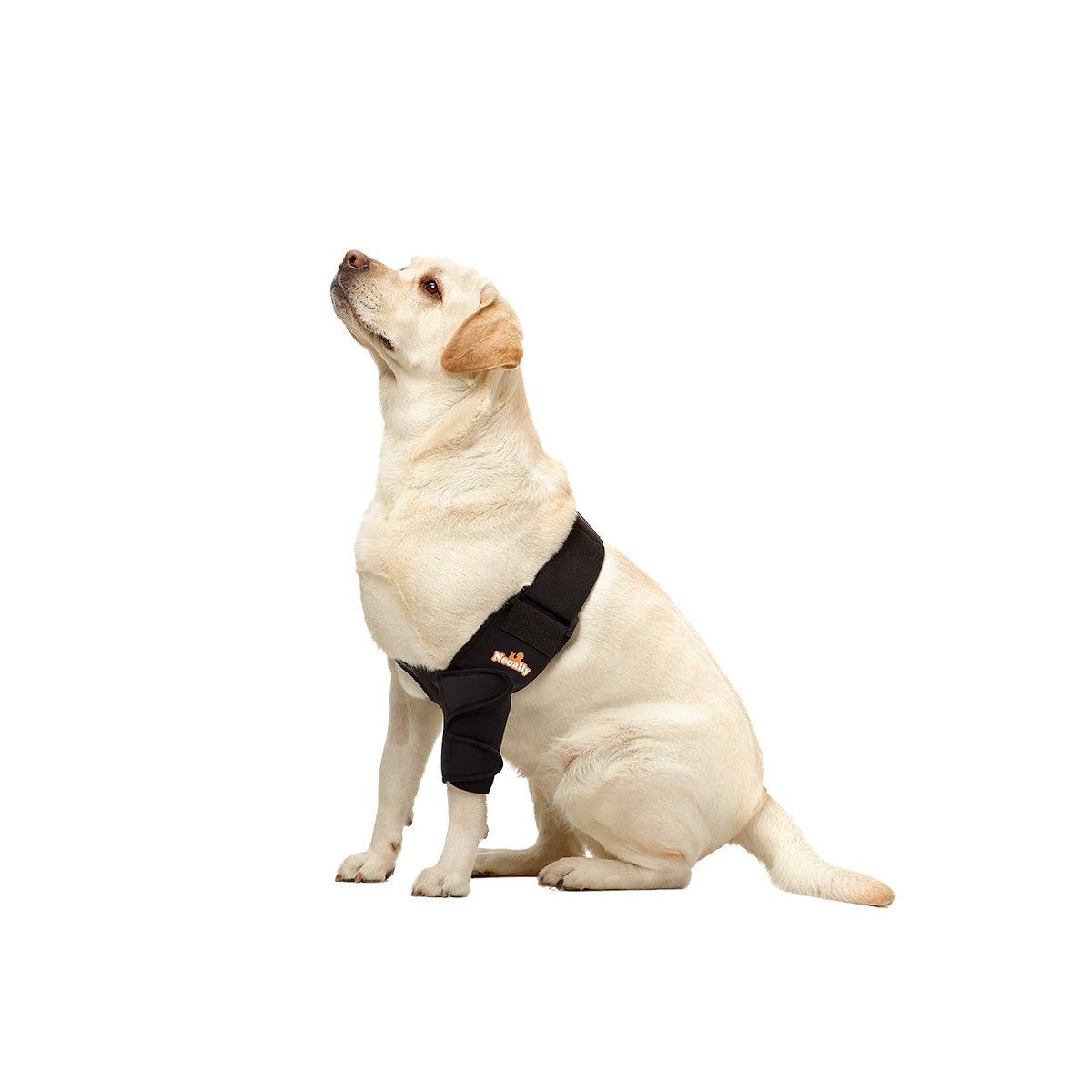 NeoAlly Elbow and Shoulder Brace for Dogs and Cats - Optimal Support for Pet Mobility