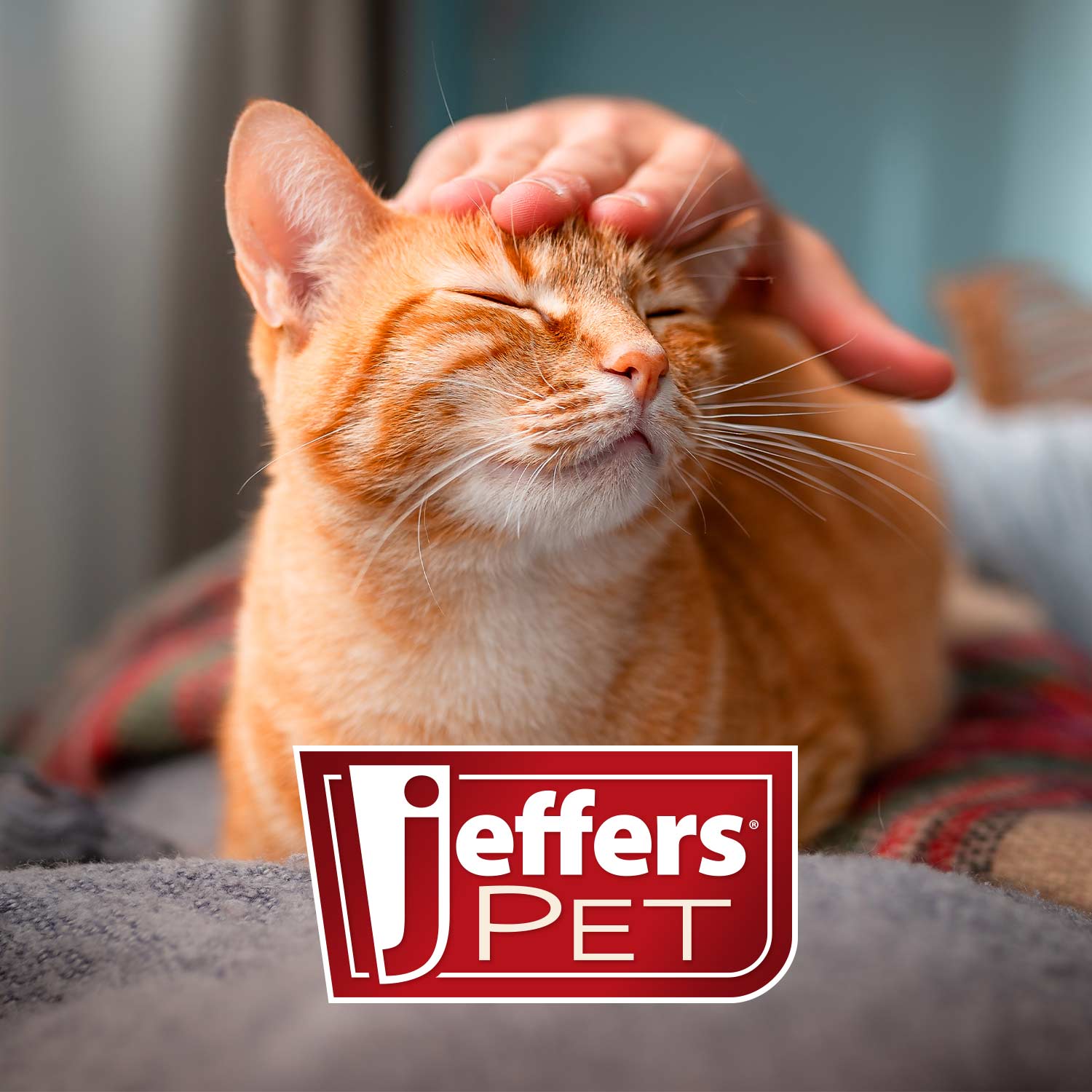 Jeffers Pin Brush for Pet Grooming, Medium