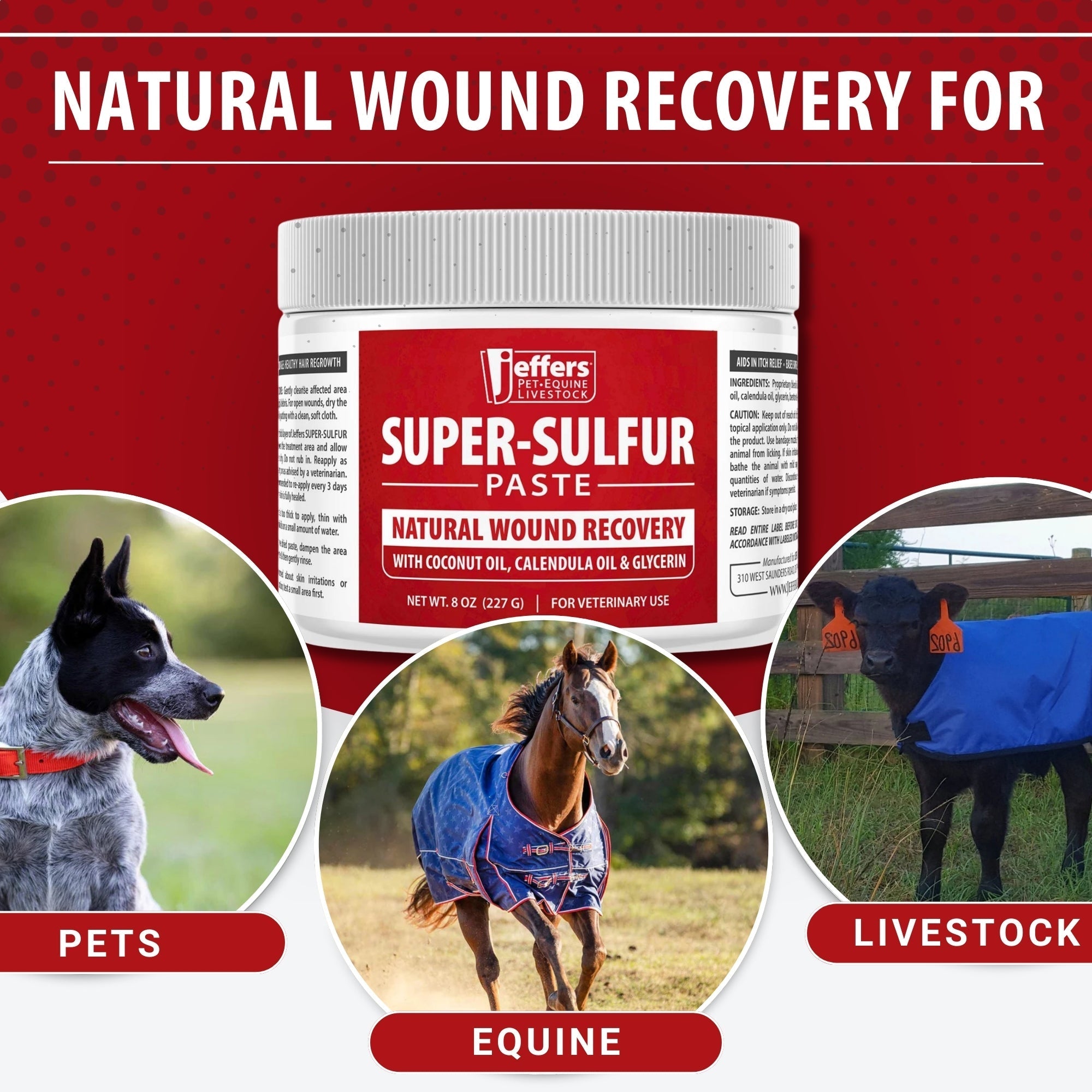 Jeffers Super-Sulfur Skin & Wound Healing Paste for Pets, Horses, & Livestock
